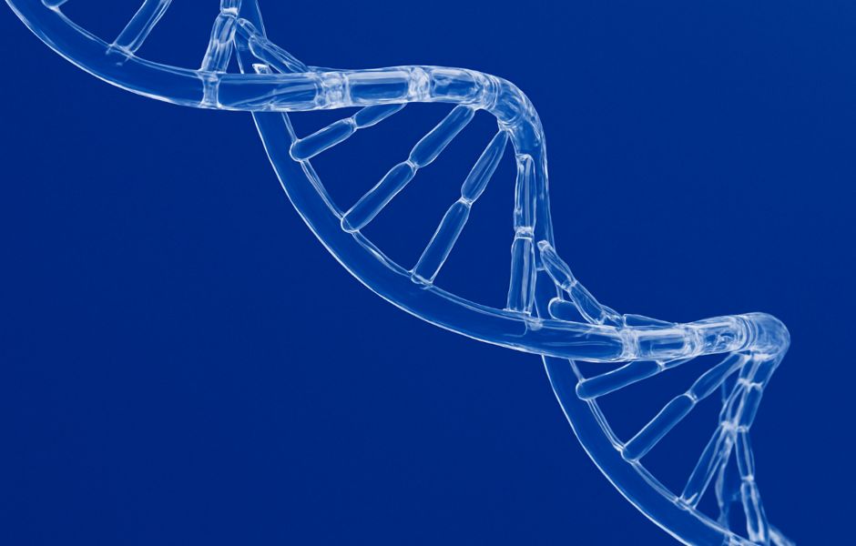 Microbiome et Épigénétique